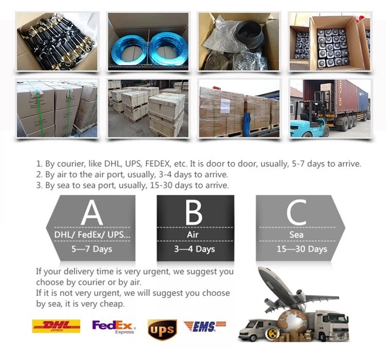 ShunCheng-Shipping ShunCheng-Shipping